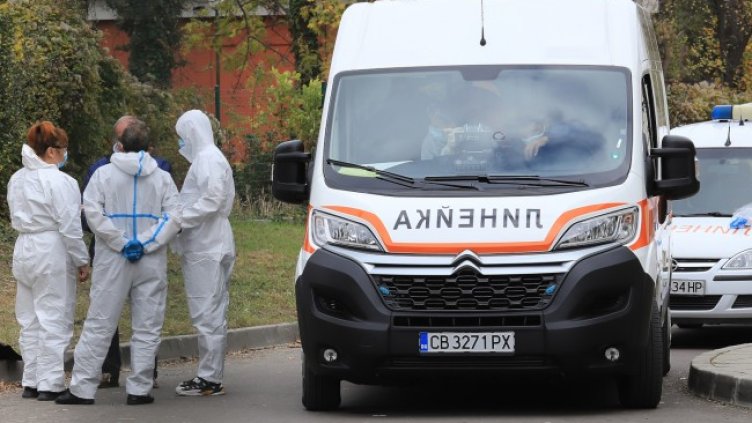 Снимка: БГНЕС