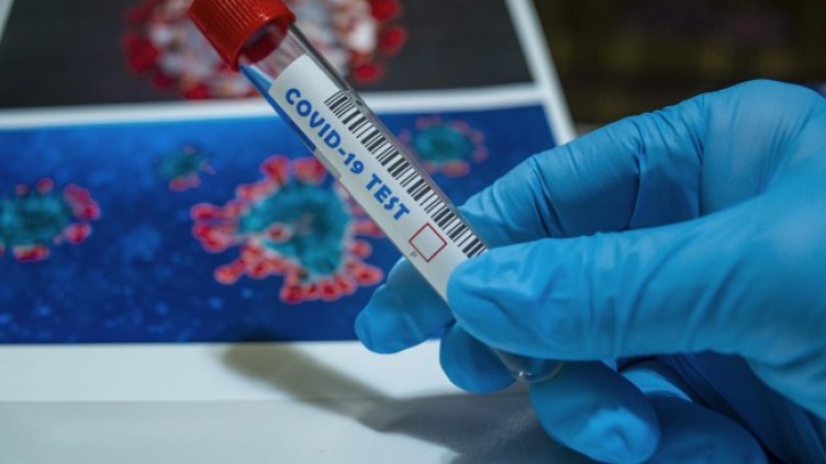 Снимка: Pixabay