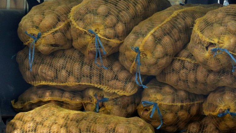 Снимка: архив, БГНЕС