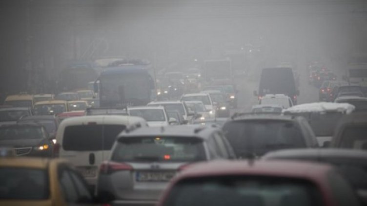 Снимка: Димитър Кьосемарлиев / Dnes.bg