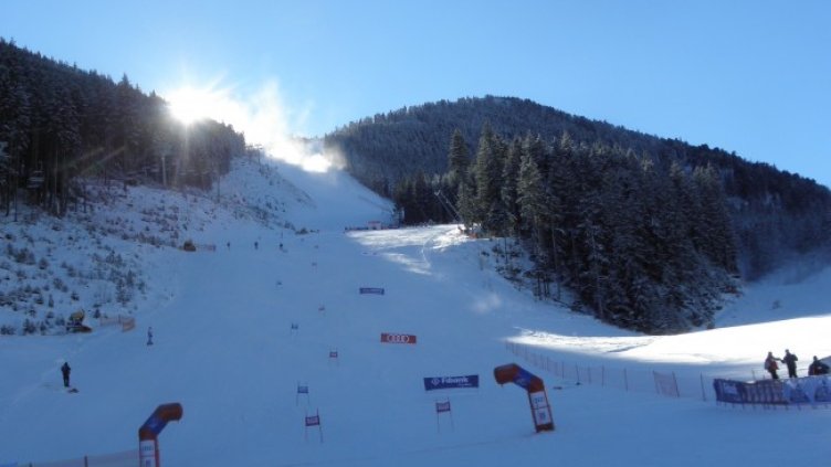 Снимка: БГНЕС