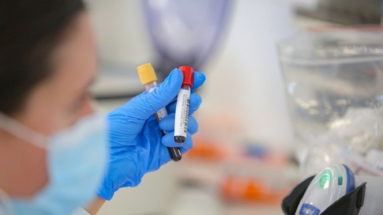 Снимка: Димитър Кьосемарлиев, Dnes.bg