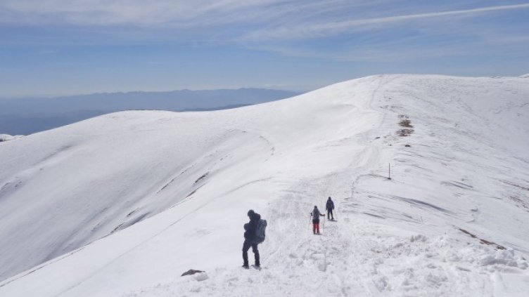 Снимка: Dnes.bg