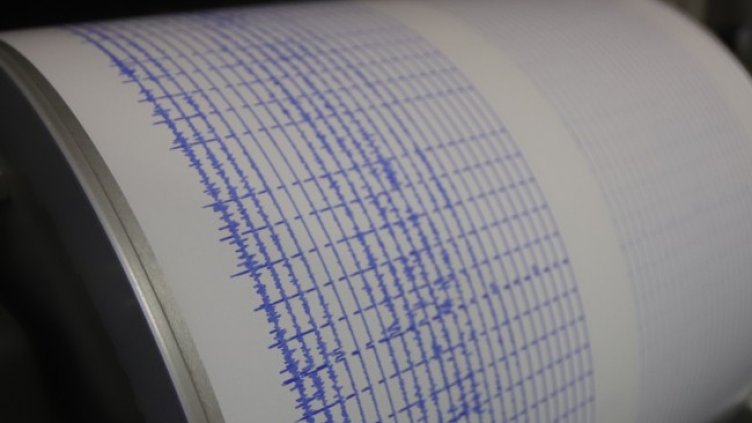 Снимка: архив, БГНЕС