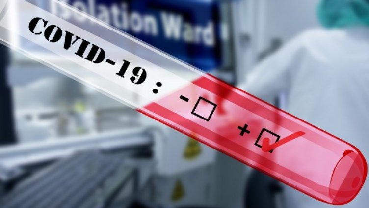 Снимка: Pixabay