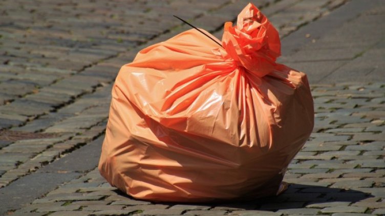 Снимка: Pixabay