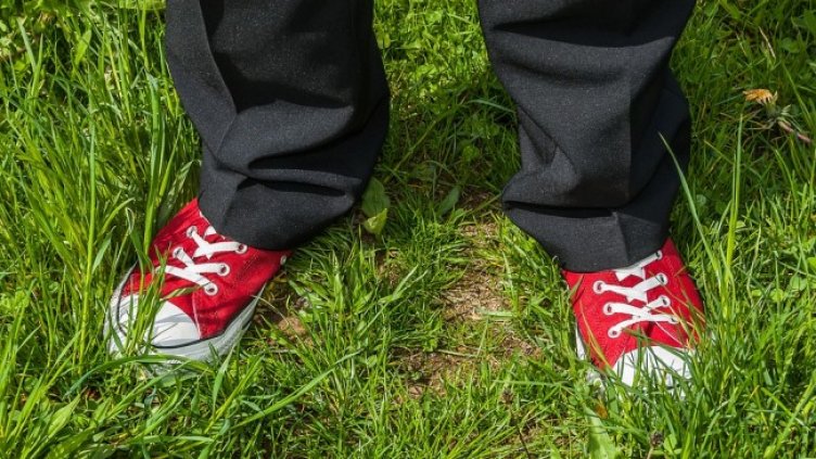 Снимка: Pixabay