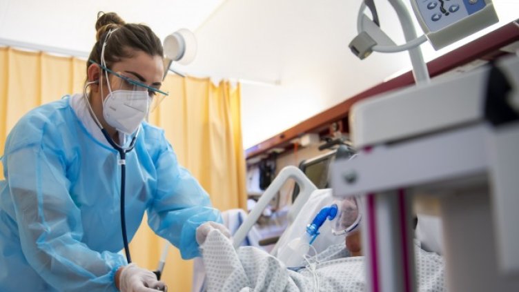 Снимка: БГНЕС