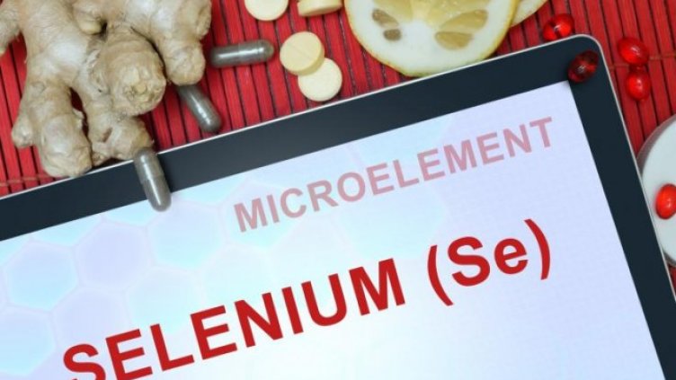 Снимка: IStockphoto