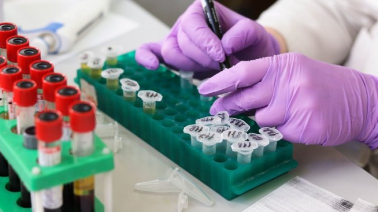 Снимка: Pixabay