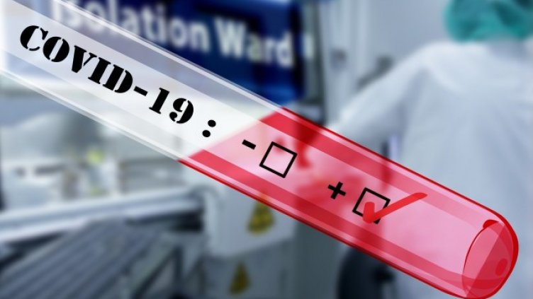 Снимка: Pixabay