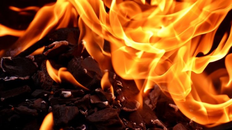 Снимка: Pixabay