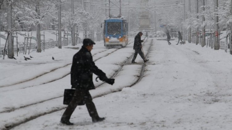 Снимка: БГНЕС