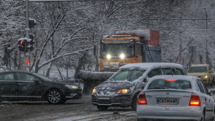 Снимка: БГНЕС