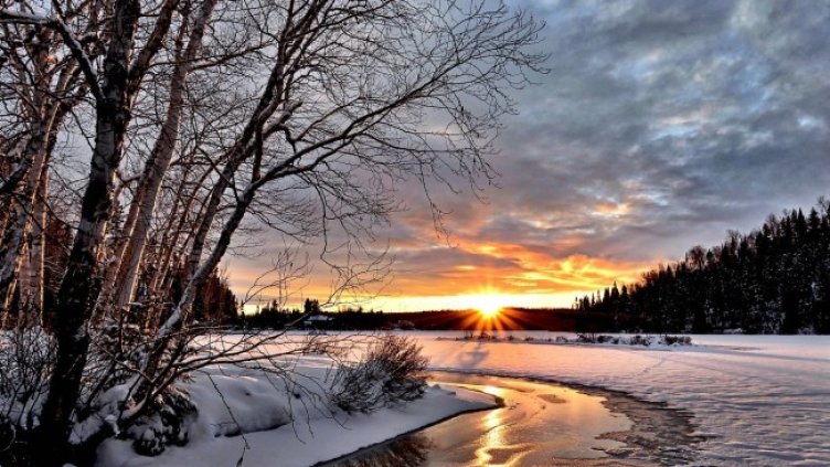 Снимка: Pixabay