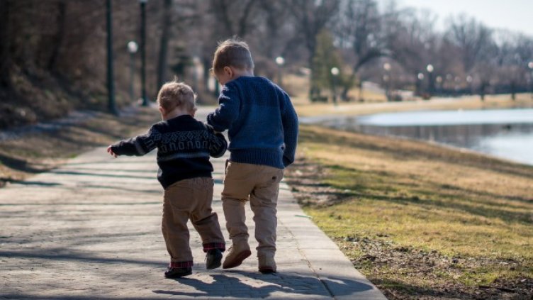 Снимка: Pixabay