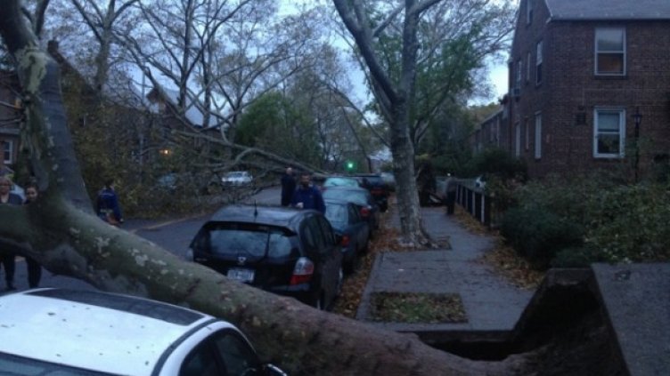 Снимка: архив, БГНЕС