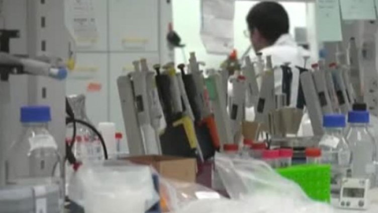 Снимка: Bulgaria ON AIR