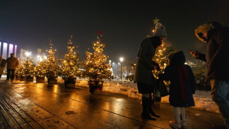 Снимка:Димитър Кьосемарлиев, Dnes.bg