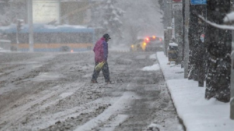 Снимка:Димитър Кьосемарлиев, Dnes.bg