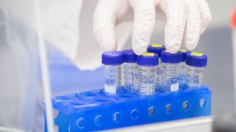 Снимка:Димитър Кьосемарлиев, Dnes.bg