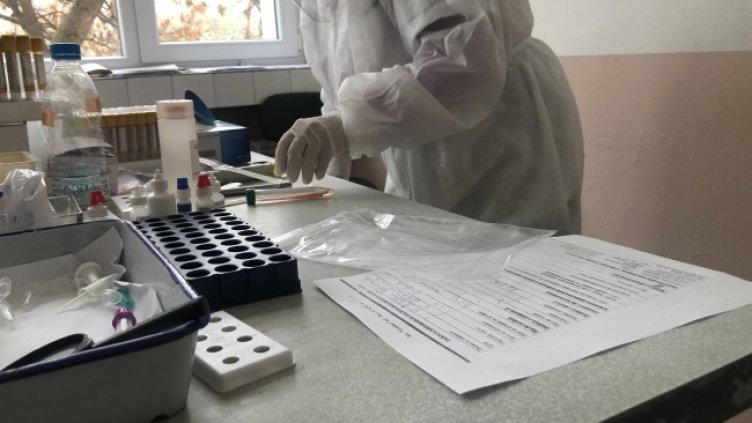 Снимка: БГНЕС