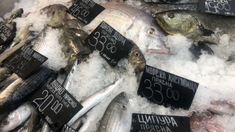 Снимка: архив, БГНЕС