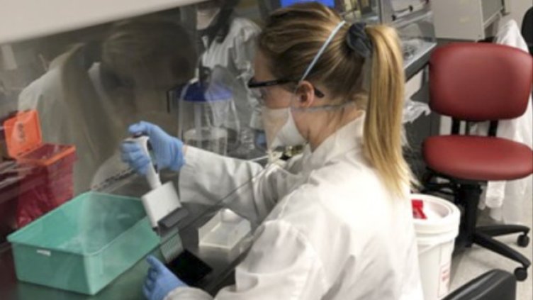 Снимка: архив, БГНЕС