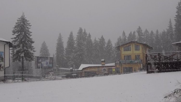 Снимка: БГНЕС