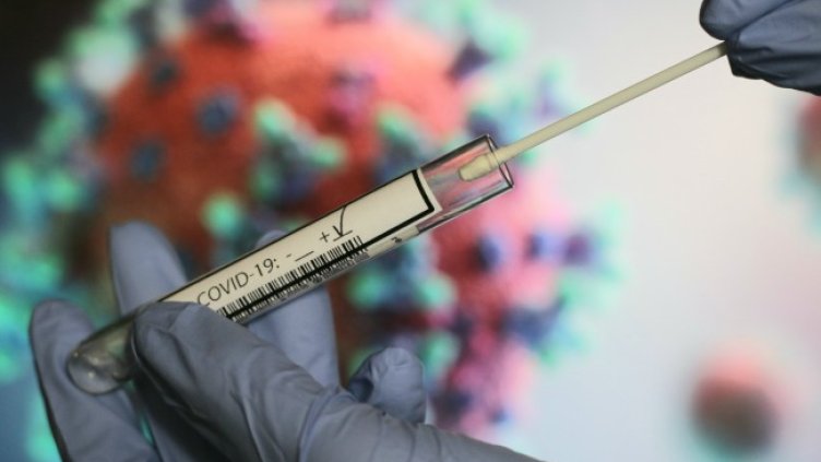 Снимка: архив, БГНЕС