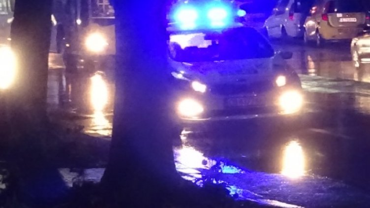 Снимка: БГНЕС, архив