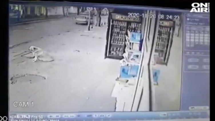 Кадър: Bulgaria ON AIR