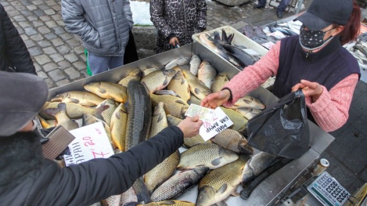 Снимка: Димитър Кьосемарлиев