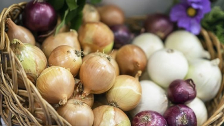 Снимка: Istock