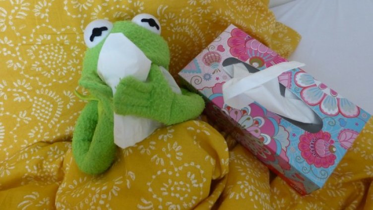 Снимка: Pixabay