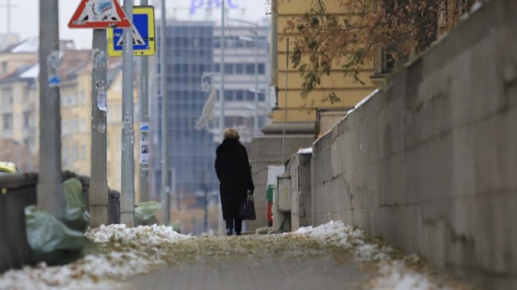 Снимка: БГНЕС