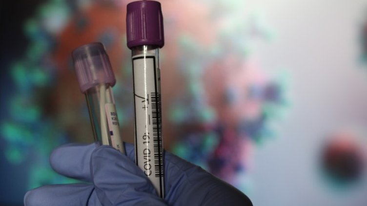 Снимка: архив, БГНЕС