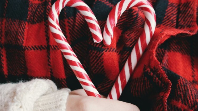 Снимка: Pexels