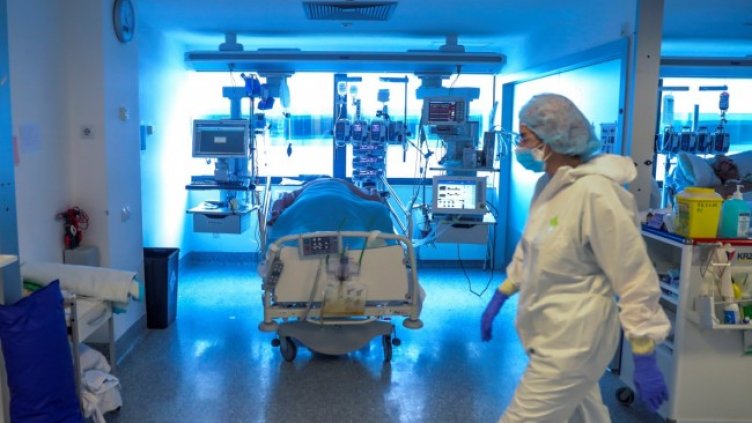 Снимка: БГНЕС