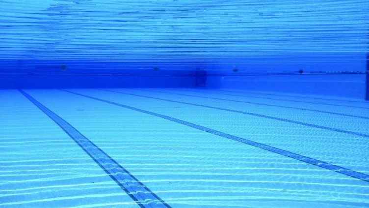 Снимка: Pixabay