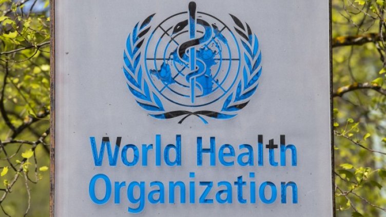 Снимка: архив, БГНЕС