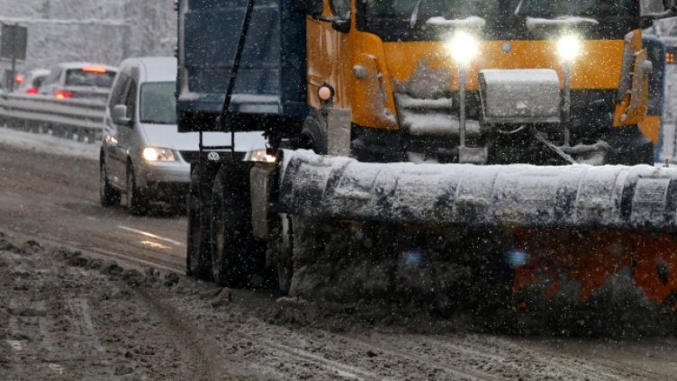 Снимка: БГНЕС