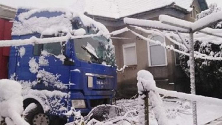 Снимка: kozloduy-bg.info