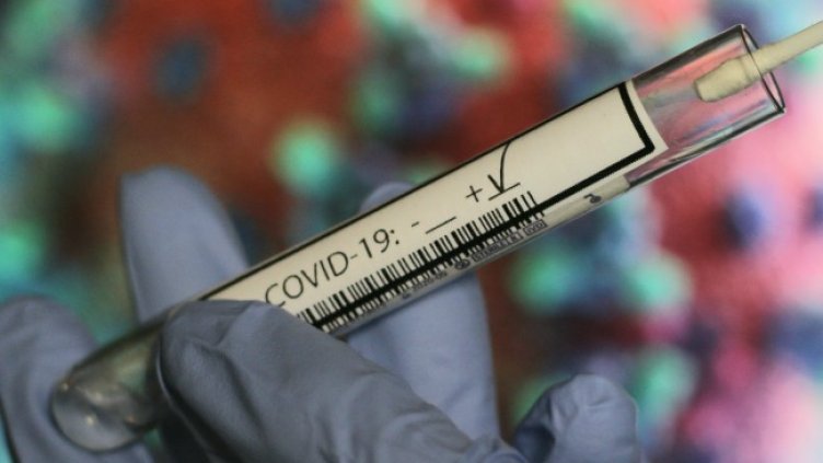 Снимка: архив, БГНЕС