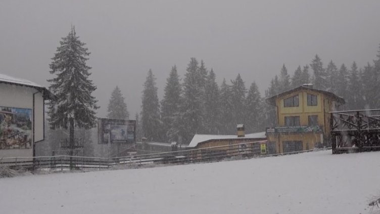 Снимка: БГНЕС