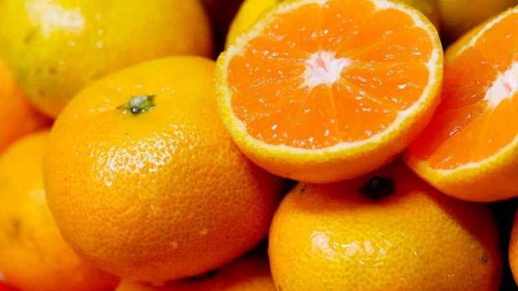 Снимка: Pixabay