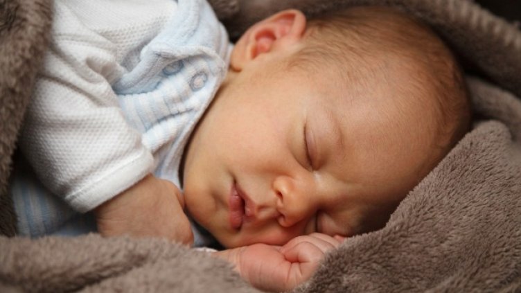 Снимка: Pixabay