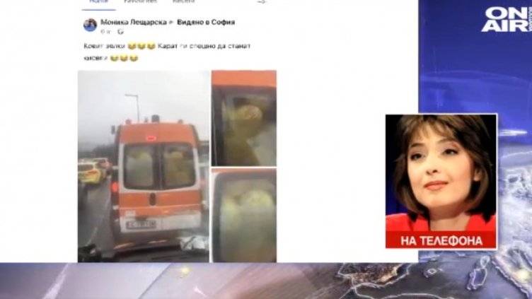 Снимка: Bulgaria ON AIR