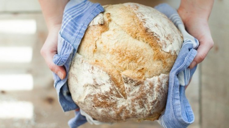 Снимка: Pixabay