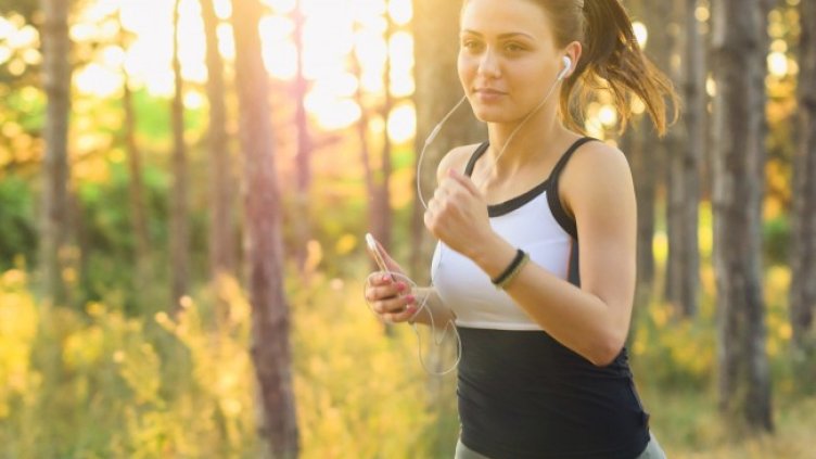 Снимка: Pixabay